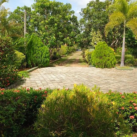 Sunshine Holiday Resort -Sella Kataragama Luaran gambar